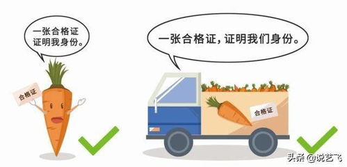 农产品保供保安全,武汉开出首批食用农产品,电子合格证